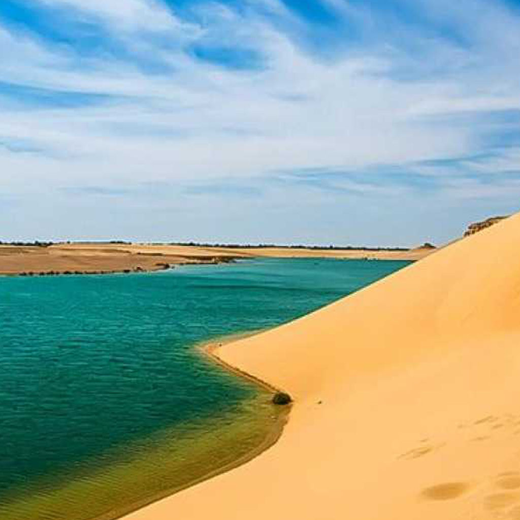 Faiyum Oasis